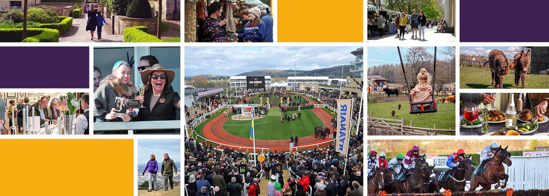 A montage of images of Cheltenham in March