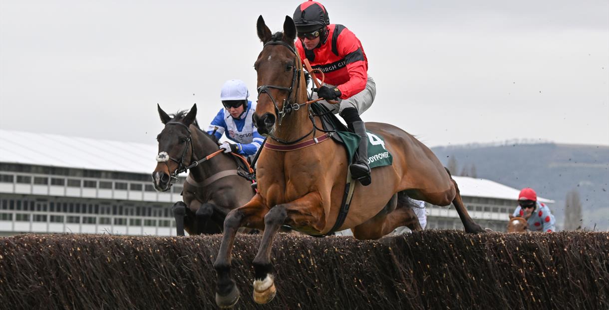 Festival Trials Day 2024 at Cheltenham Racecourse