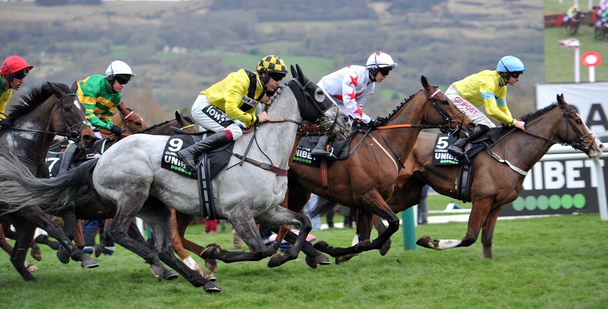 The Cheltenham Festival - Cheltenham -