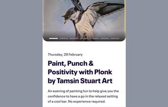 Paint, Punch & Positivity with Plonk event details
