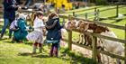 Children feeding the goats