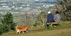 Leckhampton Hill dog walk