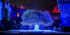 Spectacle of Light Sudeley Castle