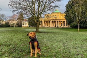 Best dog walks in Cheltenham