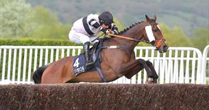 Race Night at Cheltenham Racecourse featuring Hunter Chase Racing