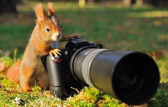 A squirrel holding a camera
