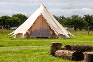 Camping & Glamping at Cotswold Farm Park