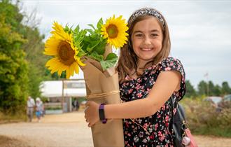 cotswold-farm-park-girl-sunflower
