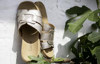 Charles Clinkard womens sandals