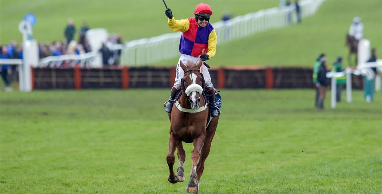 The Cheltenham Gold Cup