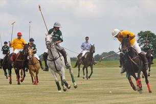 Learn Polo as a Family at one of Price Harry's clubs