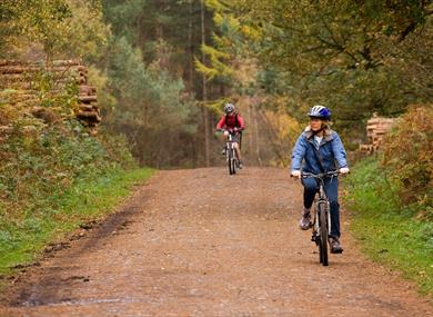 Delamere Forest Cycleways