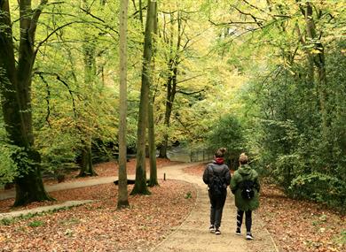 autumnal walk,quarry bank,national trust,family friendly,great outdoors