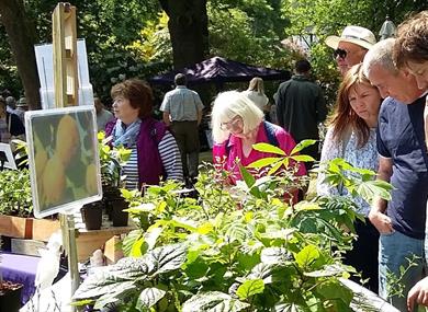 Summer Plant Hunters' Fair at Abbeywood Garden