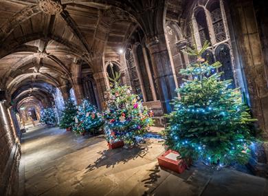 Christmas Tree Festival: Lights Switch On