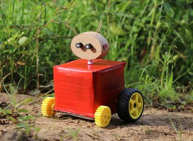 Northwich Explorers - Moving cam toys,lion salt works