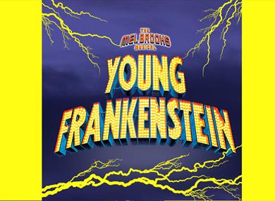 Young Frankenstein The Musical