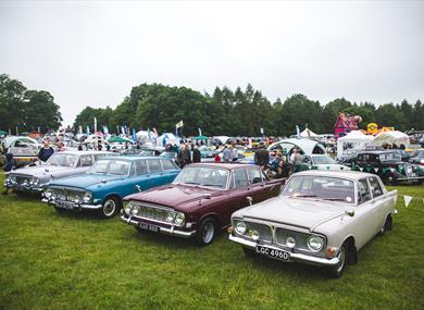 Line of cars at classic car show