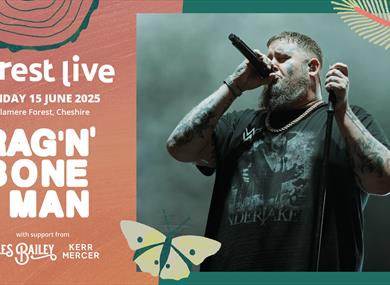 Forest Live,Rag 'n' Bone Man,Delamere Forest,Outdoor concerts,Live,Music