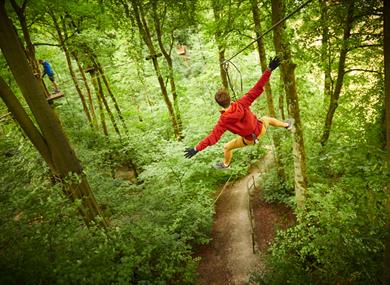 Go Ape! Delamere - Go Ape! is the UK's number 1 forest adventure