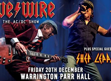 festive rock,show,music,concert,tribute,parr hall