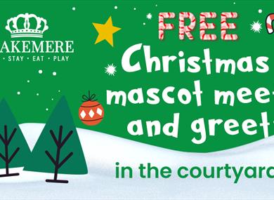 Grinch Mascot,meet and greet,blakemere