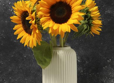 Sunflower family craft