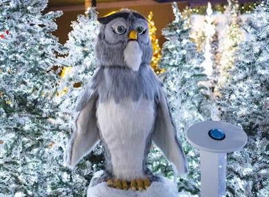 Blakemere Village,christmas,christmas owl,family fun,storytelling