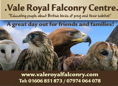 Vale Royal Falconry Centre