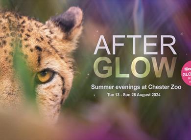 AfterGlow at Chester Zoo