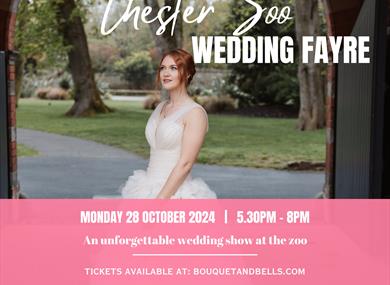 Chester zoo,wedding fayre,bridal fayre,wedding show,