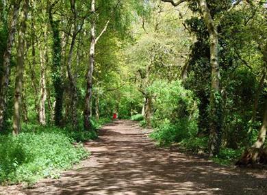 Walks for all - Stanney Woods Local Nature Reserve