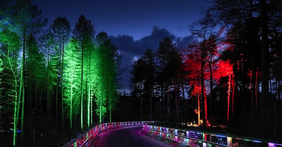 watch-a-walk-through-the-delamere-forest-christmas-lights-trail-2022