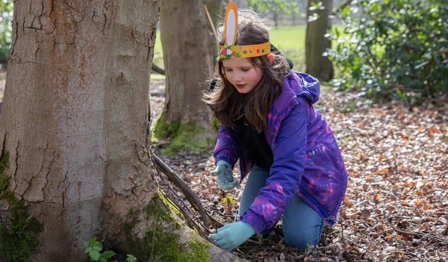 Easter Adventures,Family fun,Little Moreton Hall,National Trust