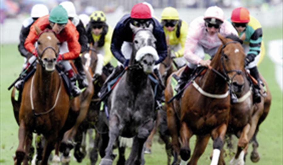 Chester Races,Autumn racing