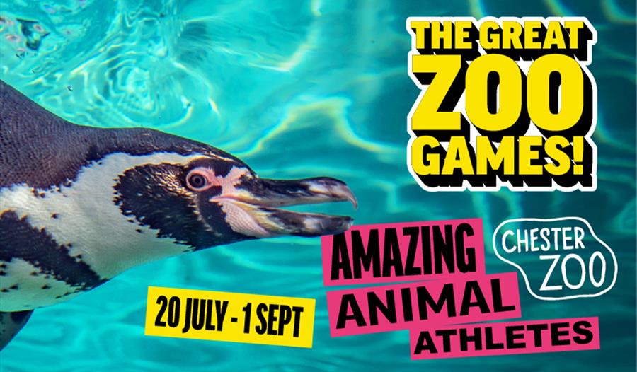 The Great Zoo Games at Chester Zoo - 2024, poster