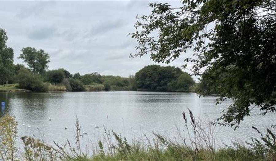 Lake and Woodland Walk,Nantwich Museum