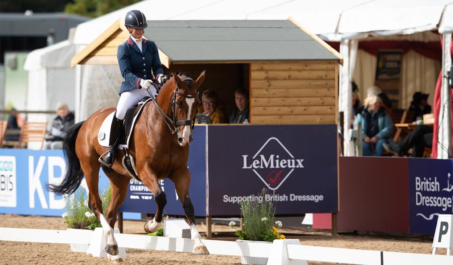 National Dressage Championships,Cheshire,Somerford Park Farm,dressage,family day out