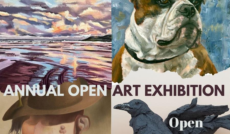 Annual art exhibition,castle park arts centre