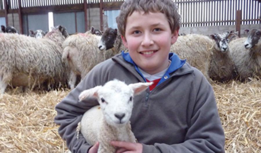 Reaseheath Lambing Weekends