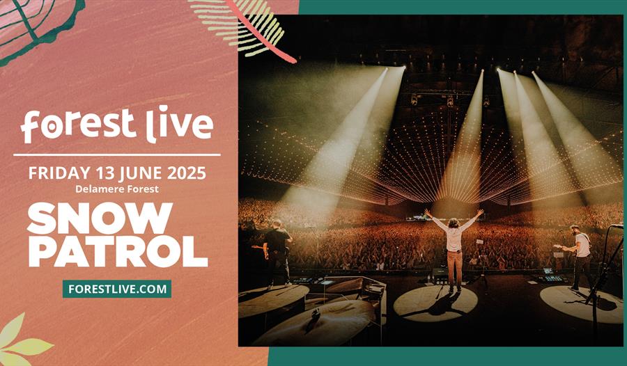 Forest Live,Snow Patrol,Delamere Forest,Outdoor concerts,Live,Music