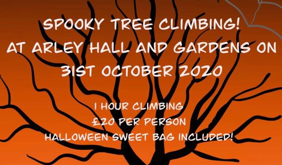 Spooky Tree Climbing at Arley Hall