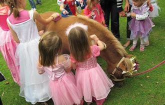 Princesses,kings,ponies,introduction to ponies,family friendly events