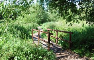 Walks for All - Caldy Valley Nature Park