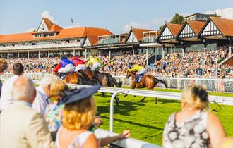 The Autumn Racing Food & Drink Festival