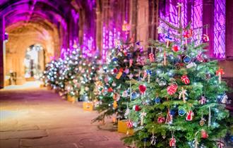 Christmas Tree Festival: Lights Switch On