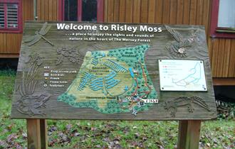 Risley Moss Nature Trail