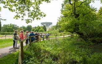 Jodrell Bank for Groups