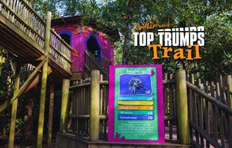 Top Trumps Trail