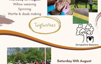 willow weaving,nantwich town square,demonstrations,summer holidays
